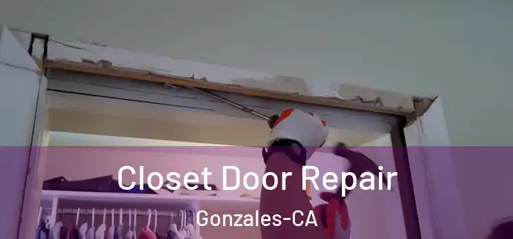  Closet Door Repair Gonzales-CA