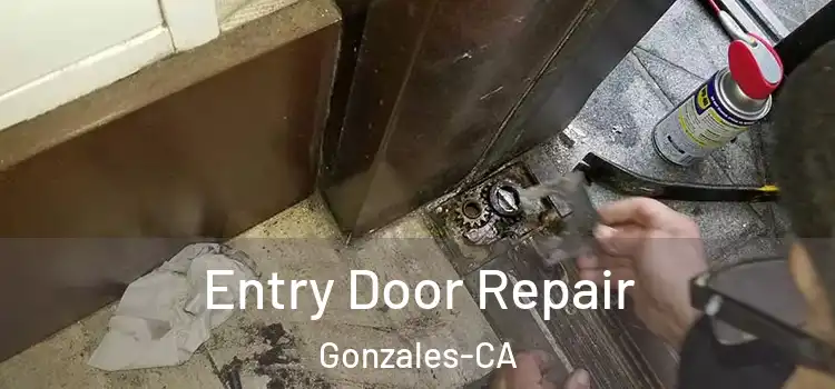  Entry Door Repair Gonzales-CA