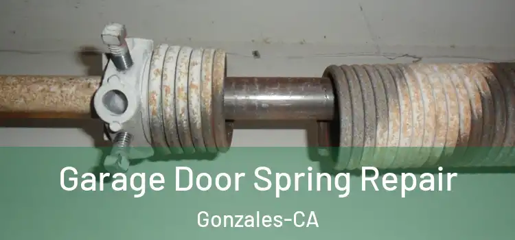 Garage Door Spring Repair Gonzales-CA