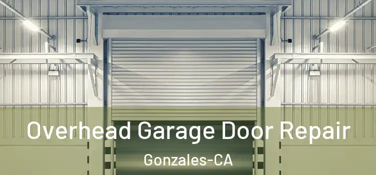  Overhead Garage Door Repair Gonzales-CA