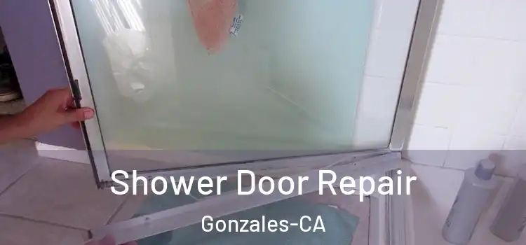 Shower Door Repair Gonzales-CA